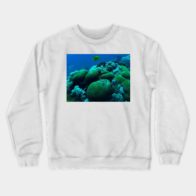 Red Sea Coral Reef Crewneck Sweatshirt by likbatonboot